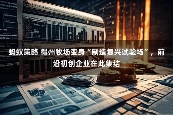 蚂蚁策略 得州牧场变身“制造复兴试验场”，前沿初创企业在此集结
